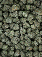 Close-up of Pave Khalifa Greenhouse Smalls showing crystal trichomes and bright orange hairs | August Cannabis Club