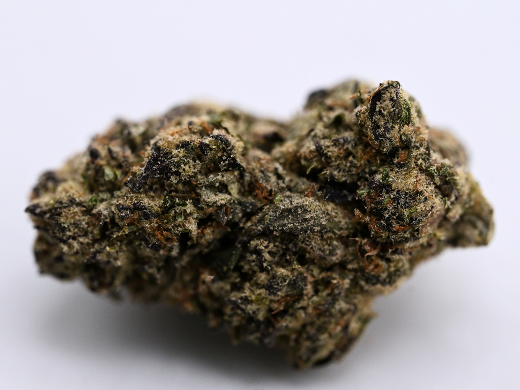 Pink Panties August Cannabis Club Indica Living Soil THCA Flower