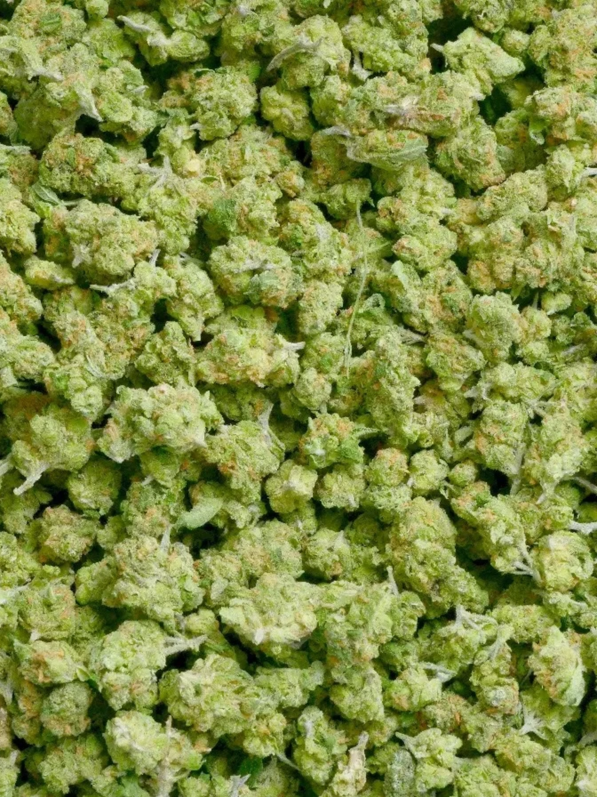 Pink Pineapple - Greenhouse Smalls