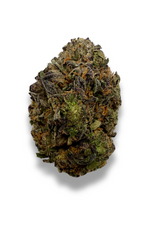 Pink Runtz August Cannabis Club THCA