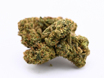 Close-up of Pink Tuna Greenhouse THCa flower showing crystal trichomes and bright orange hairs | August Cannabis Club