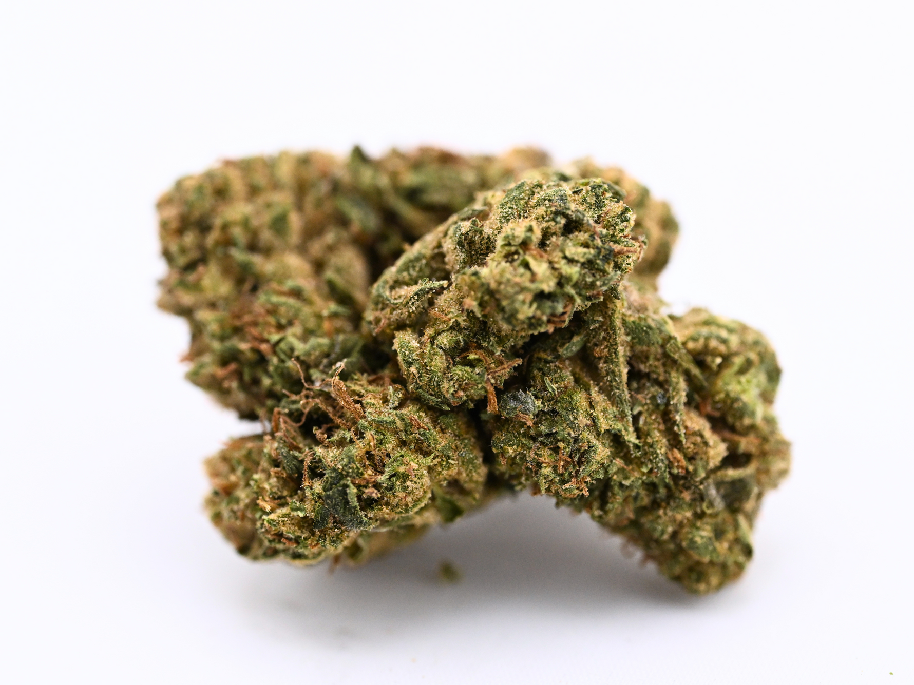 Close-up of Pink Tuna Greenhouse THCa flower showing crystal trichomes and bright orange hairs | August Cannabis Club