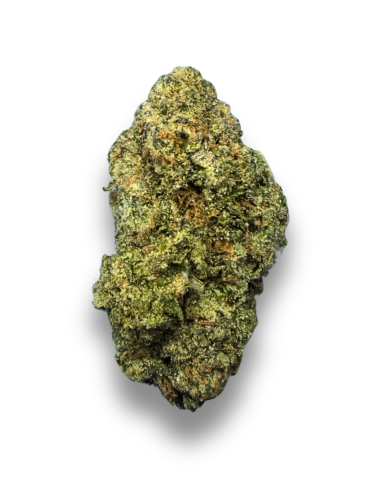 Pluto Indoor THCA Flower Living Soil August Cannabis Club Indica 