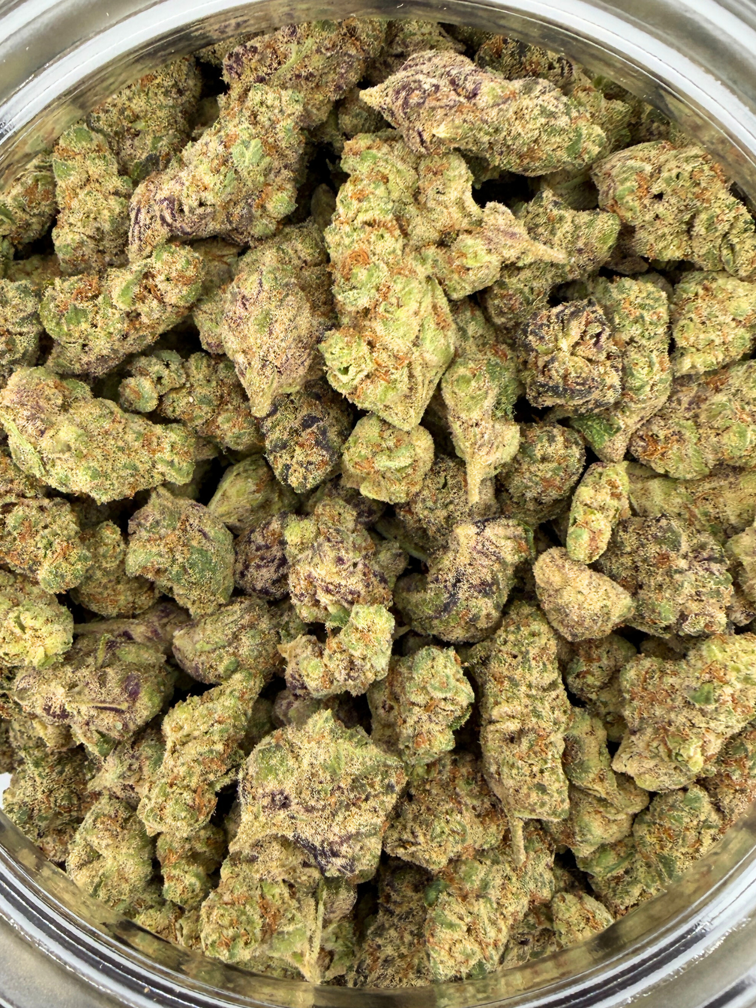 LA Pop Rocks - Exotic Smalls