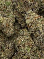 August Cannabis Club Purple Dream THCA Flower 