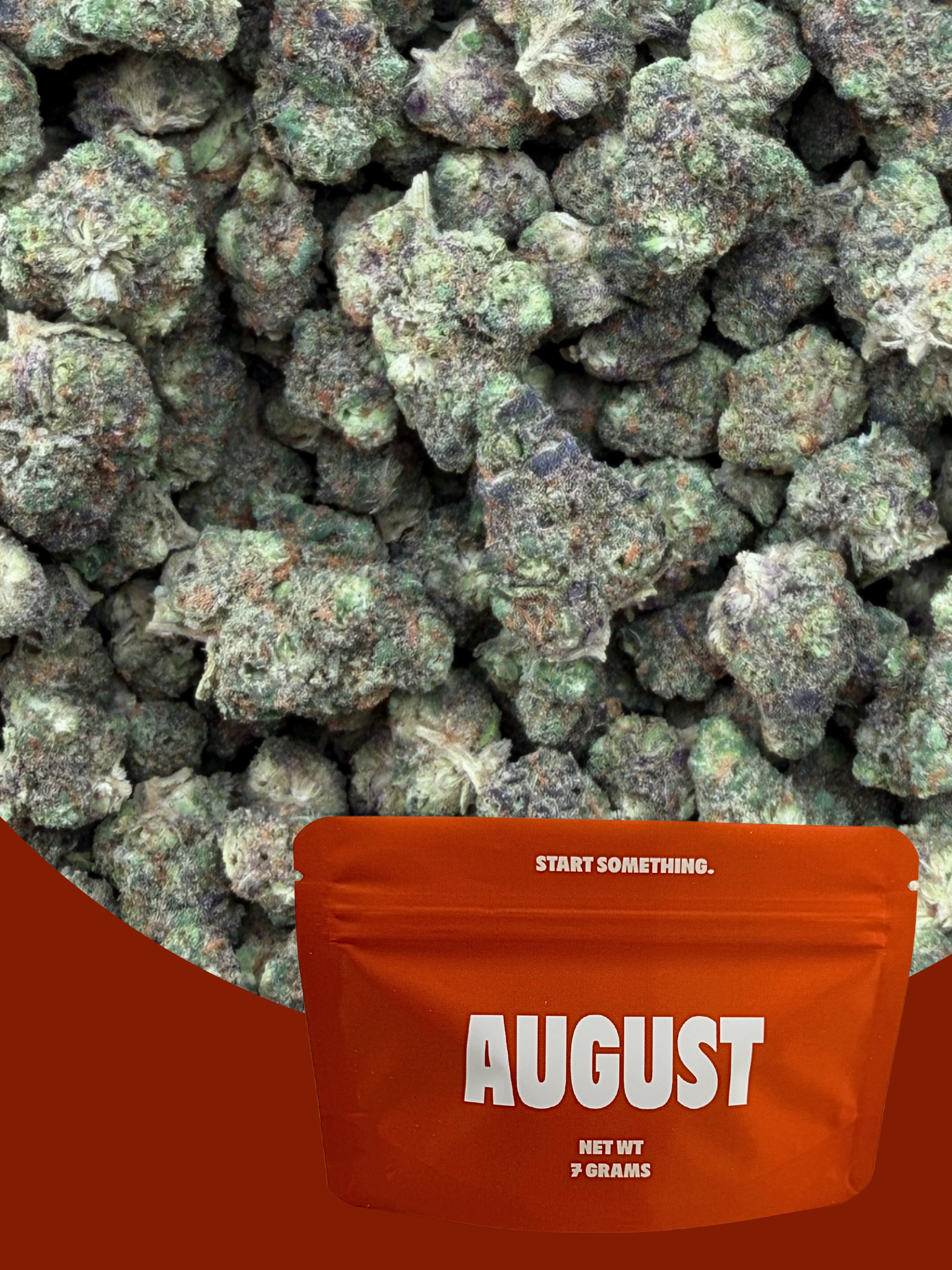 Purple Haze Indoor Living Soil Exotic Smalls August Cannabis Club
