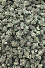 Purple Haze Indoor Living Soil Exotic Smalls August Cannabis Club