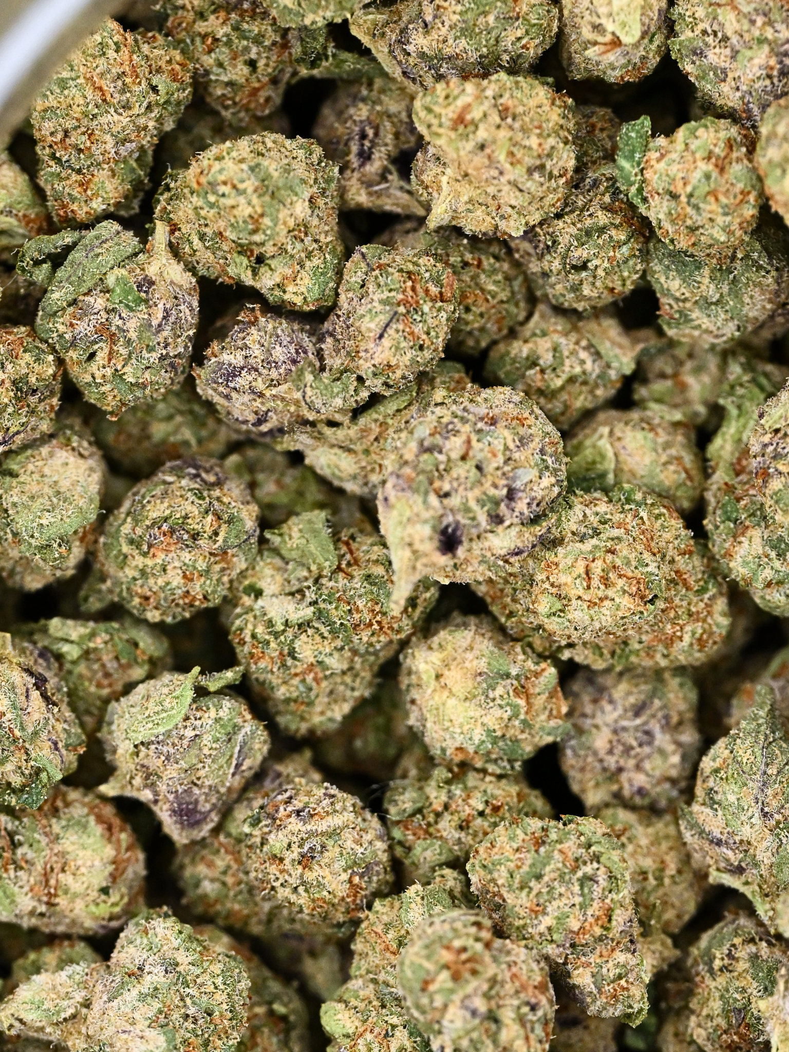 Purple Panty Dropper Exotic Smalls close-up showing crystal trichomes and bright orange hairs | August Cannabis Club