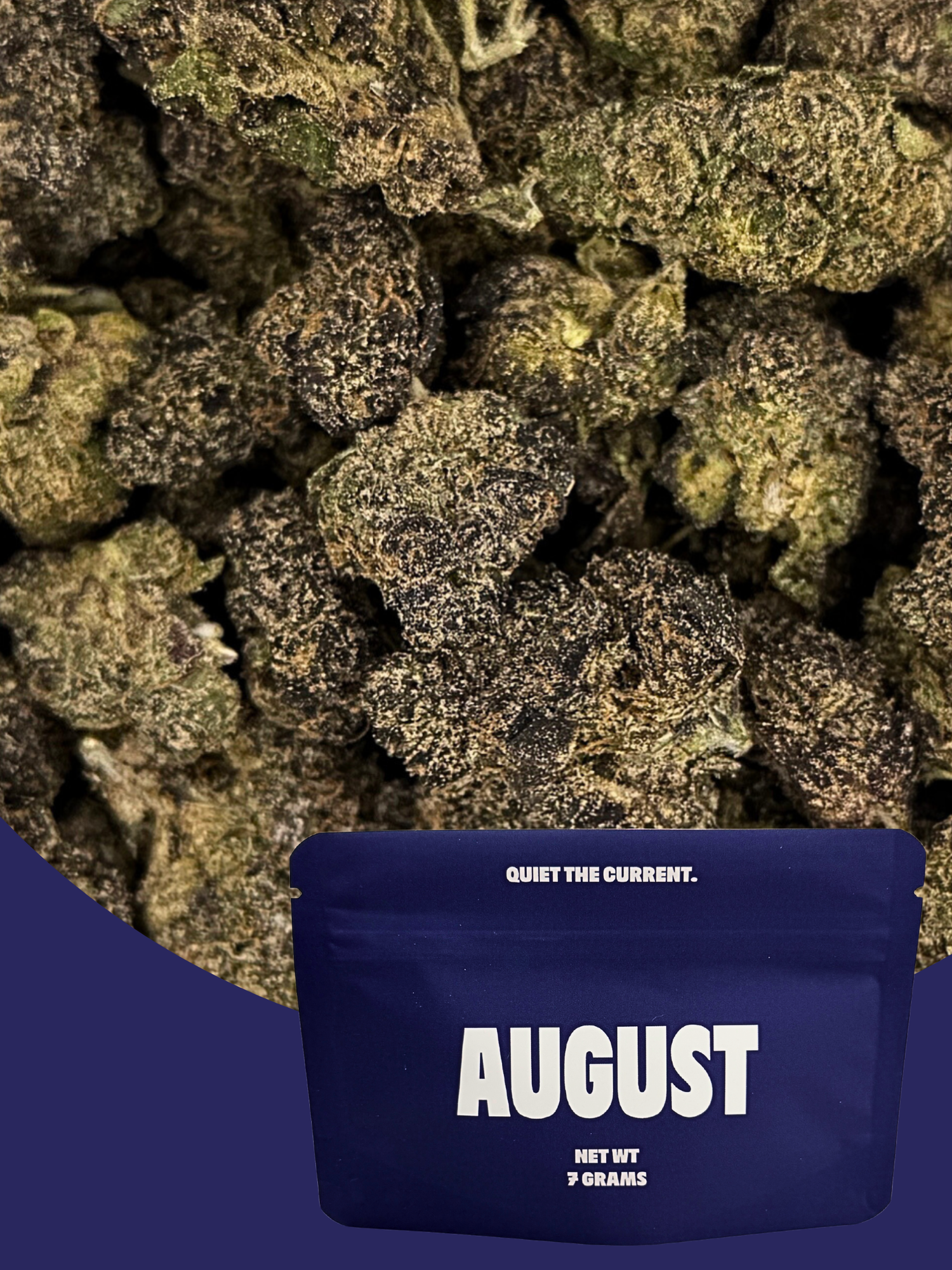 Rainbow Biscotti - Exotic Smalls