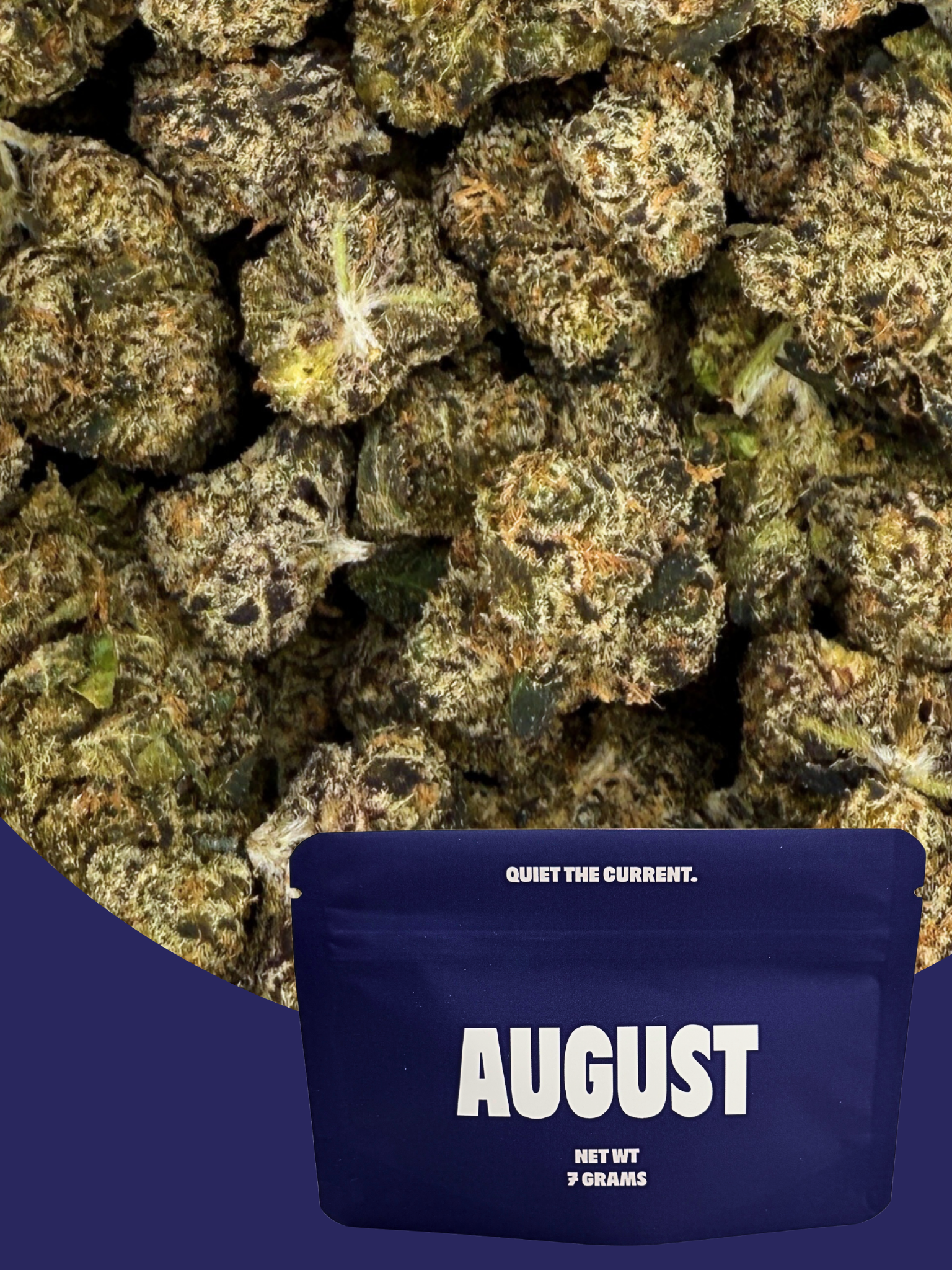 Pink Starburst - Exotic Smalls