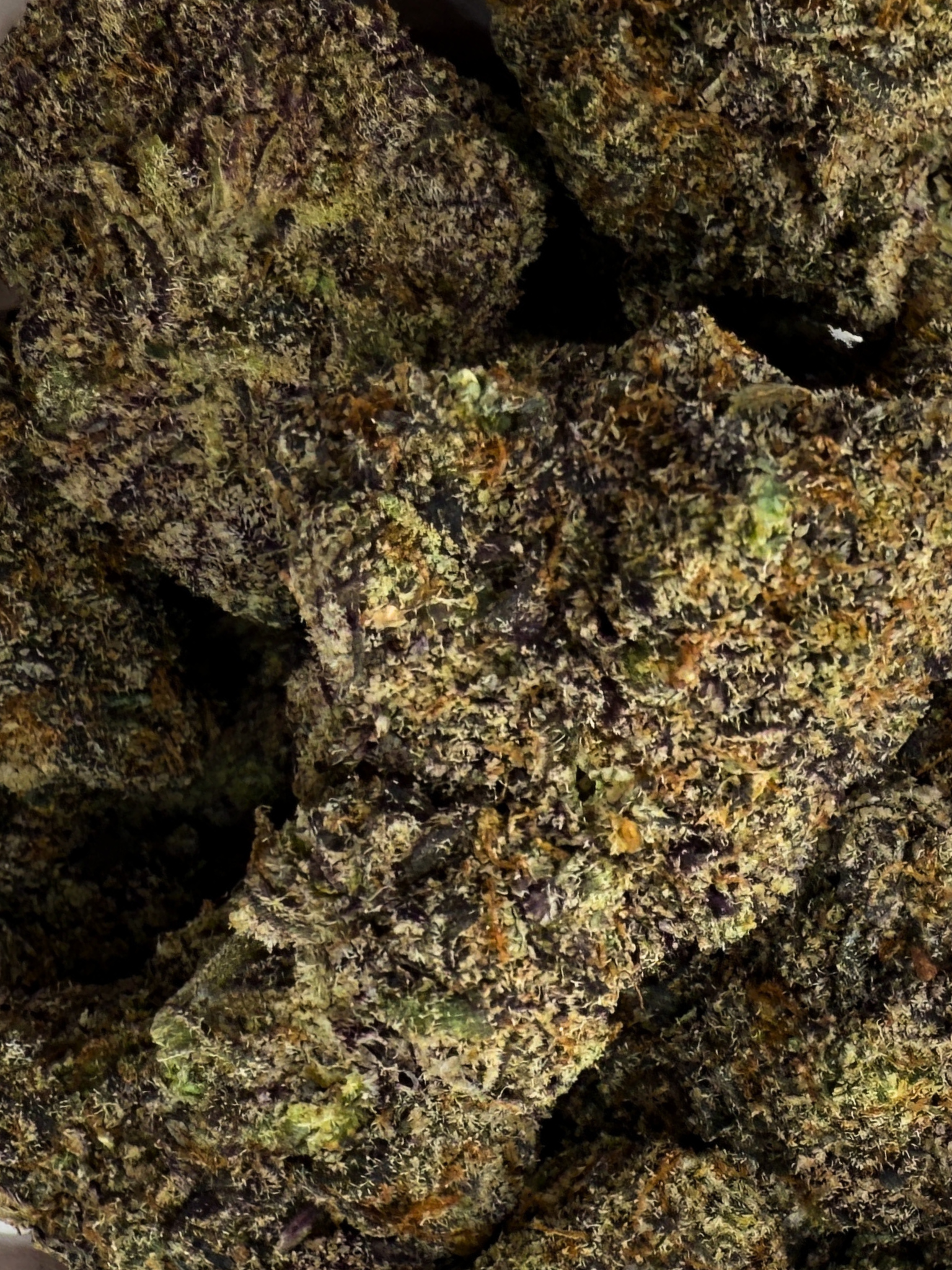 August Cannabis Club THCA Rainbow Biscotti Indoor Flower