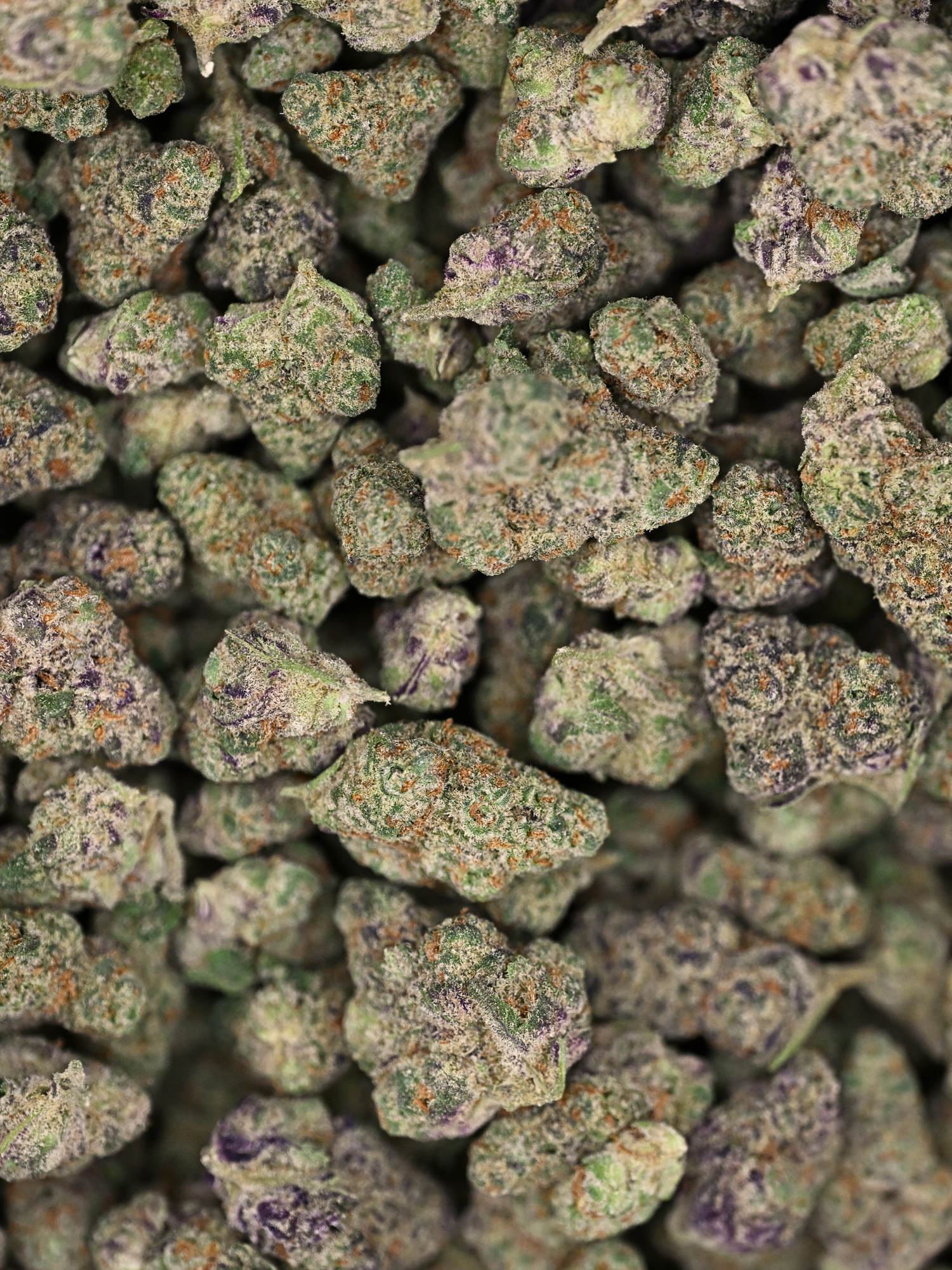 Raspberry Gas Exotic Smalls August Cannabis Club THCA Flower