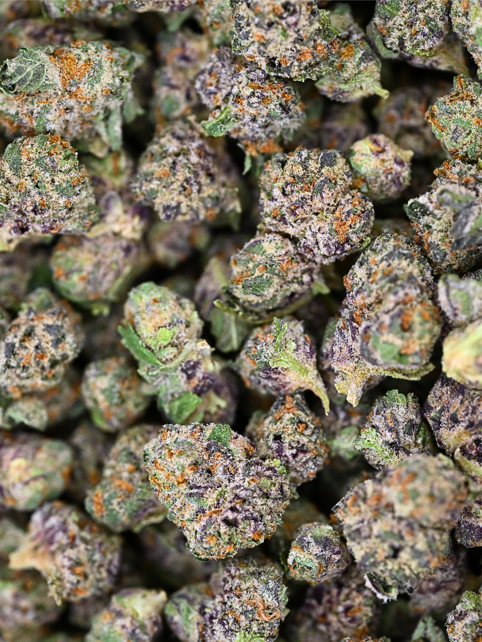 Sakura Exotic Smalls August Cannabis Club THCA Flower