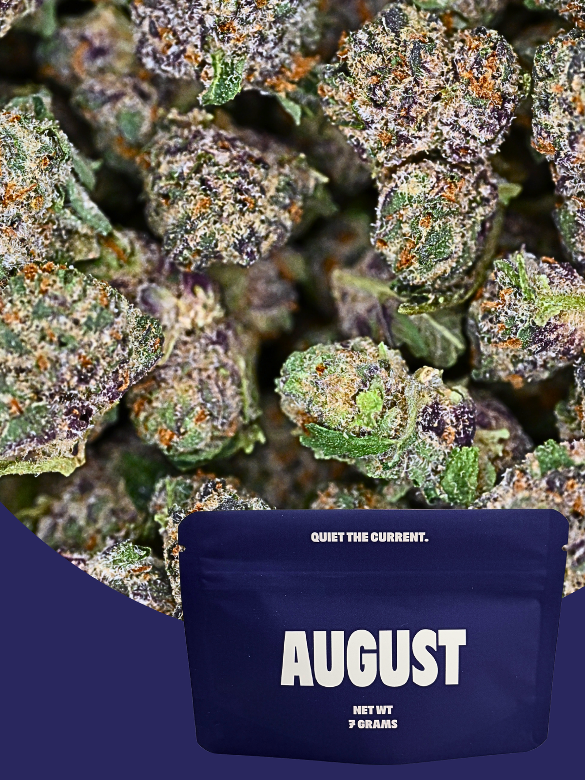 Sakura Exotic Smalls August Cannabis Club THCA Flower