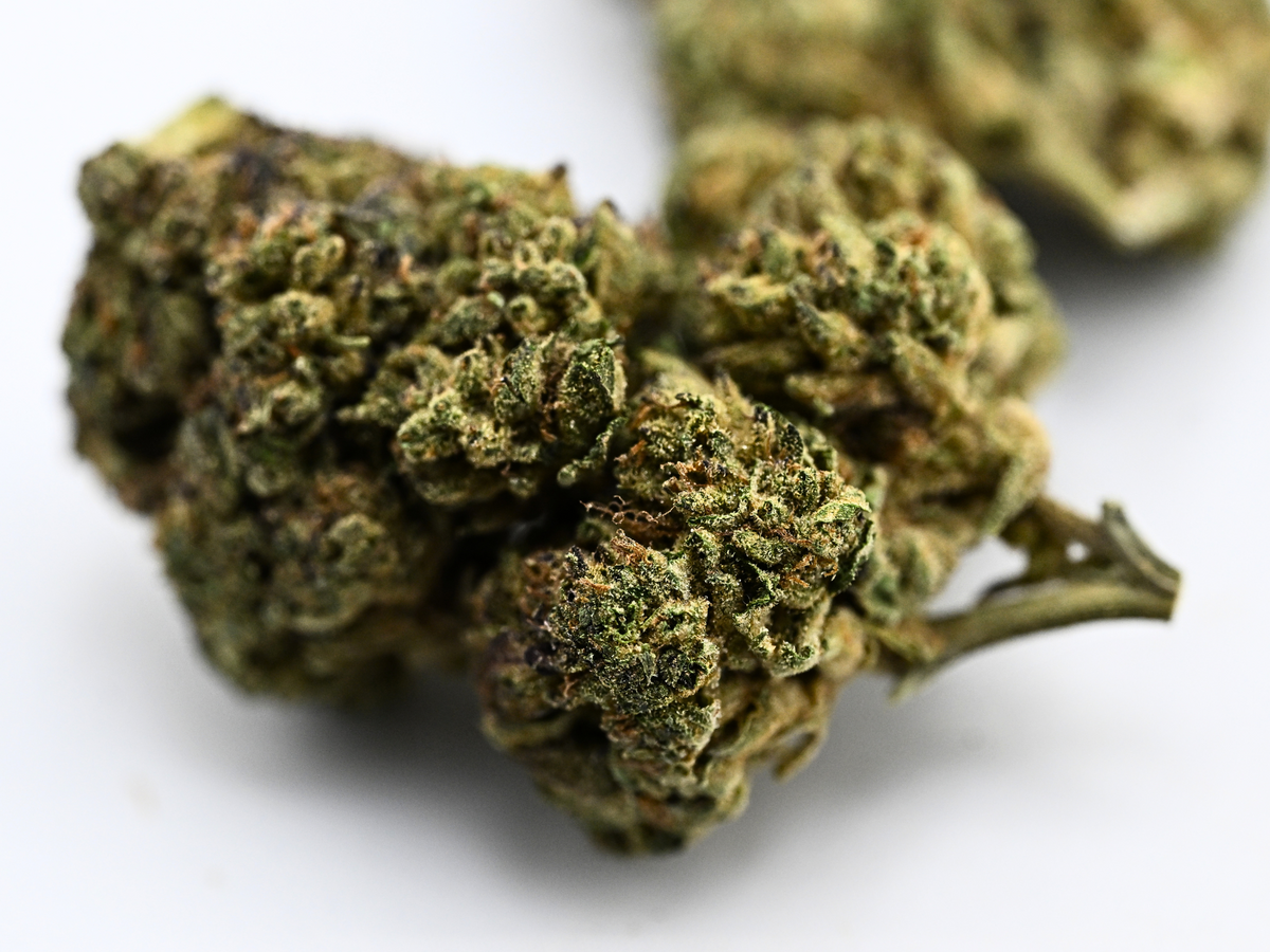 Secret Cookies THCA Flower Greenhouse Hybrid