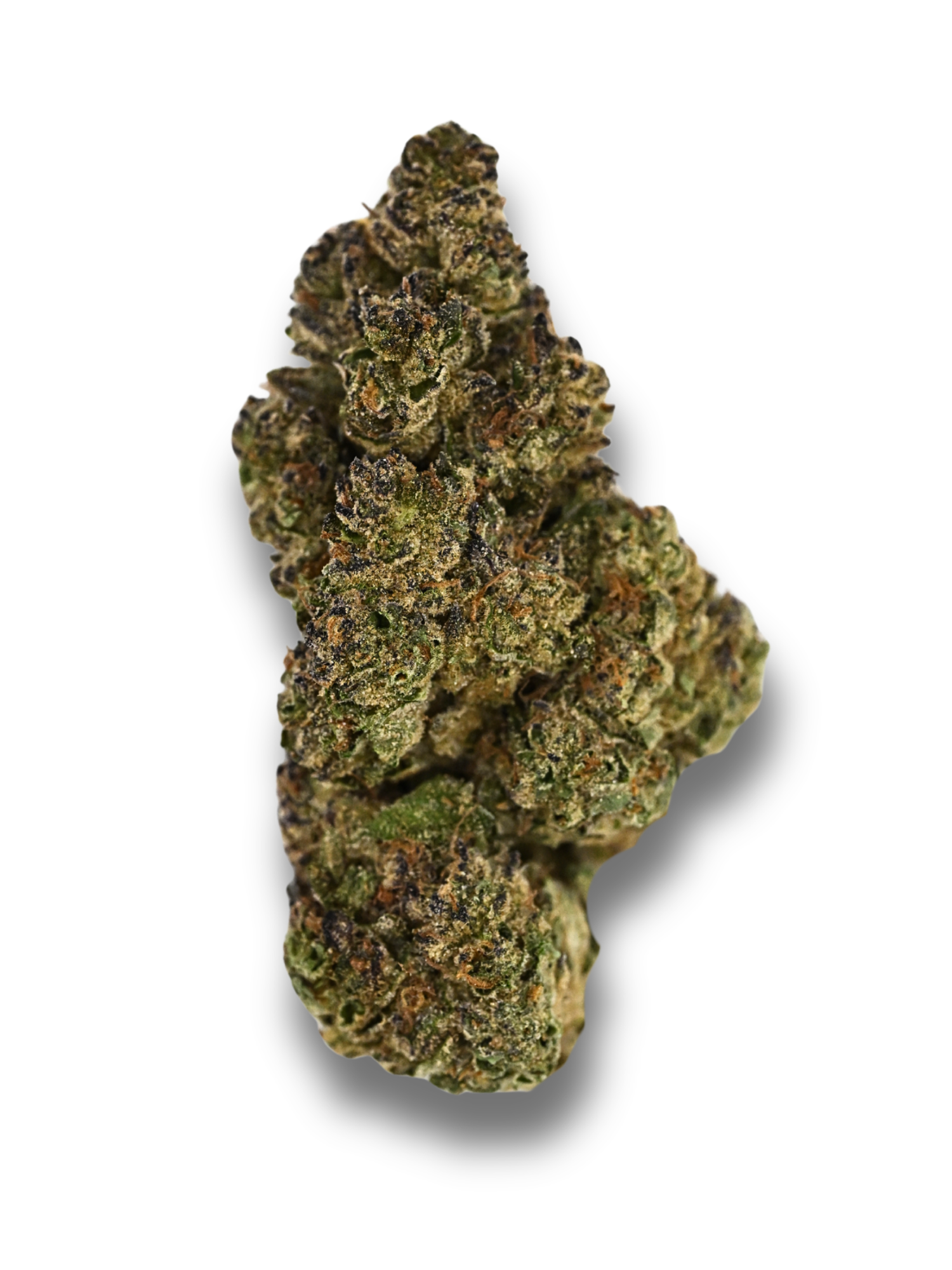 Secret Cookies THCA Flower Greenhouse Hybrid August Cannabis Club