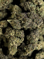 Secret Cookies THCA Flower Greenhouse Hybrid August Cannabis Club