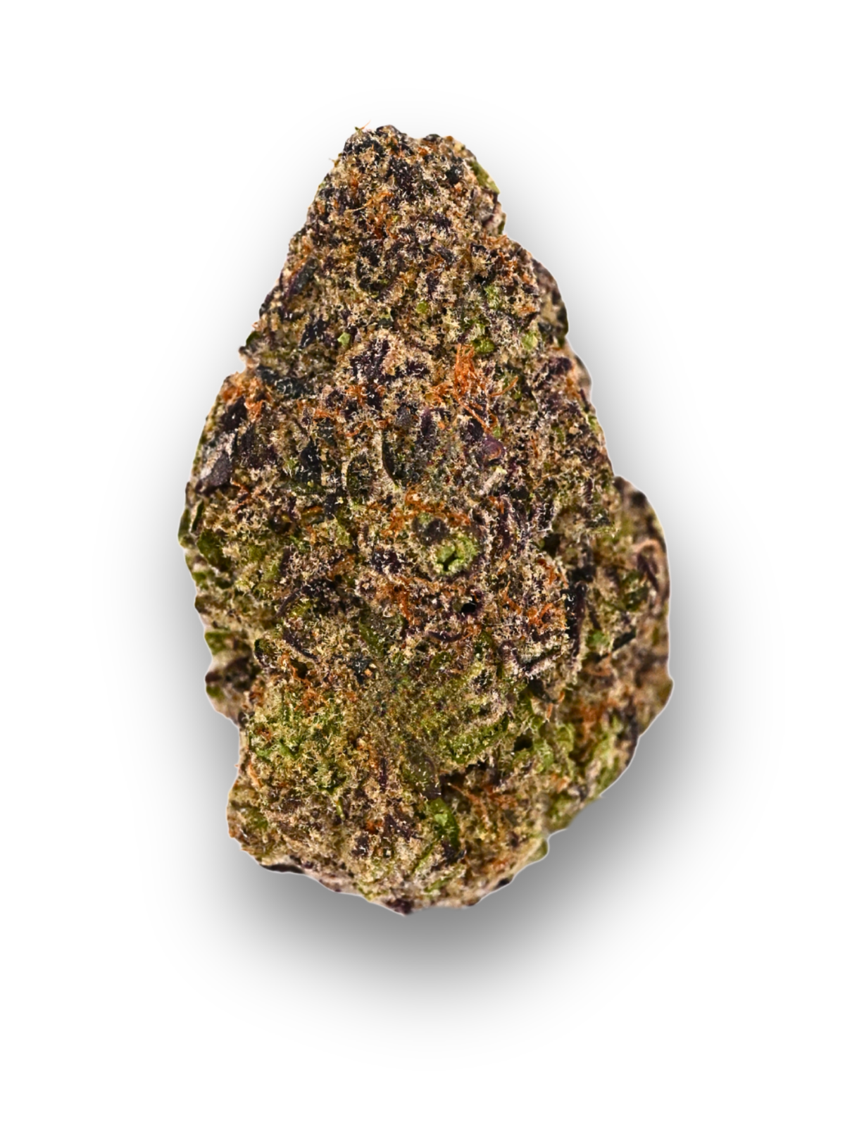 Sheesh Indoor Living Soil THCa Flower August Cannabis Club