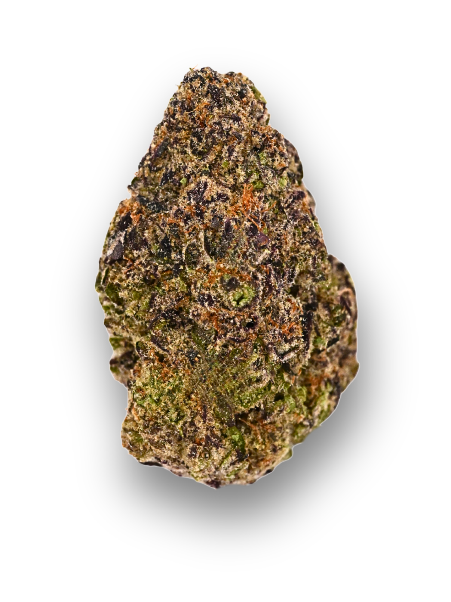 Sheesh Indoor Living Soil THCa Flower August Cannabis Club