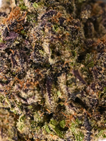 Sheesh Indoor Living Soil THCa Flower August Cannabis Club