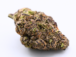 Sheesh Indoor Living Soil THCa Flower August Cannabis Club