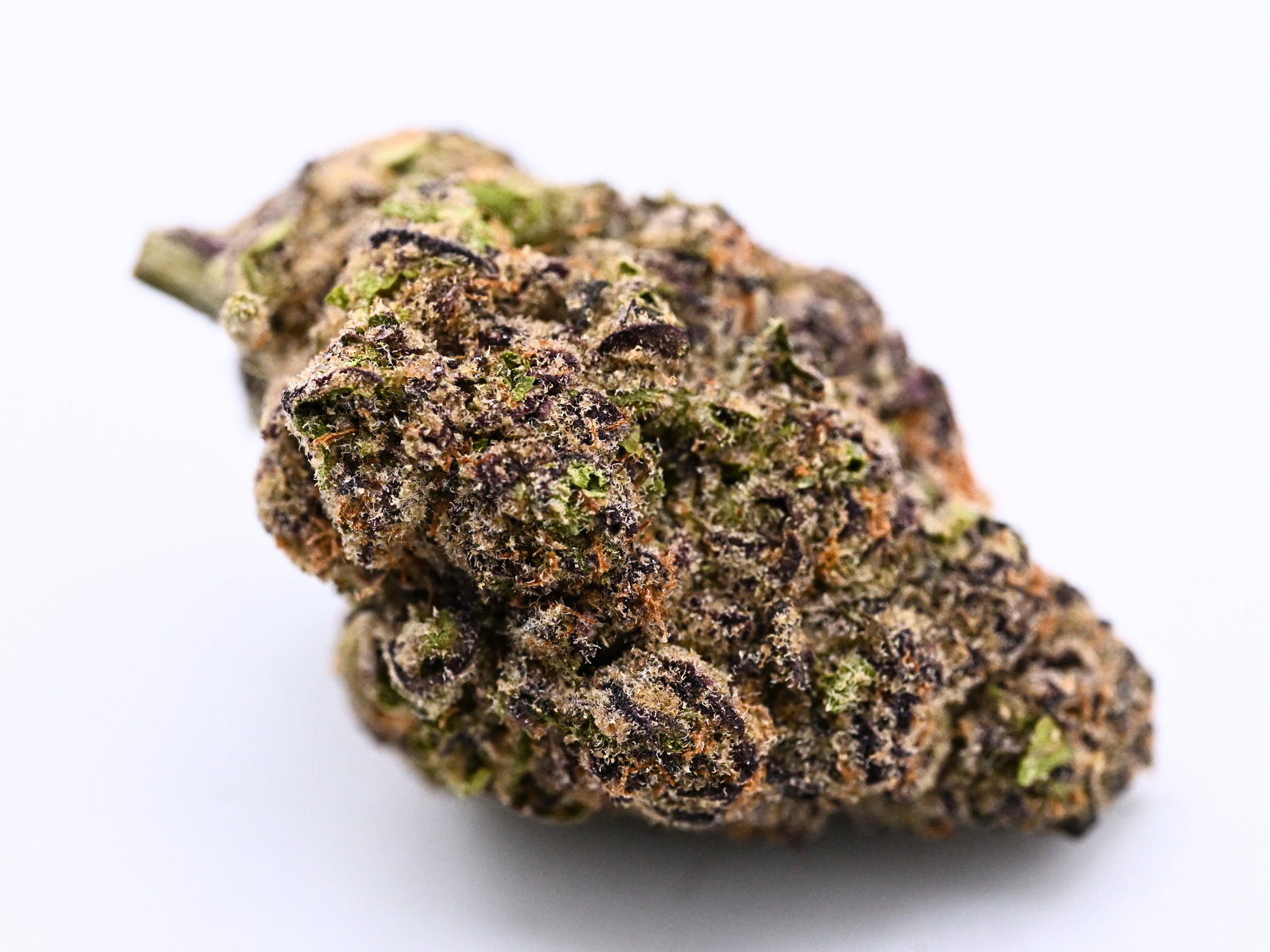 Sheesh Indoor Living Soil THCa Flower August Cannabis Club