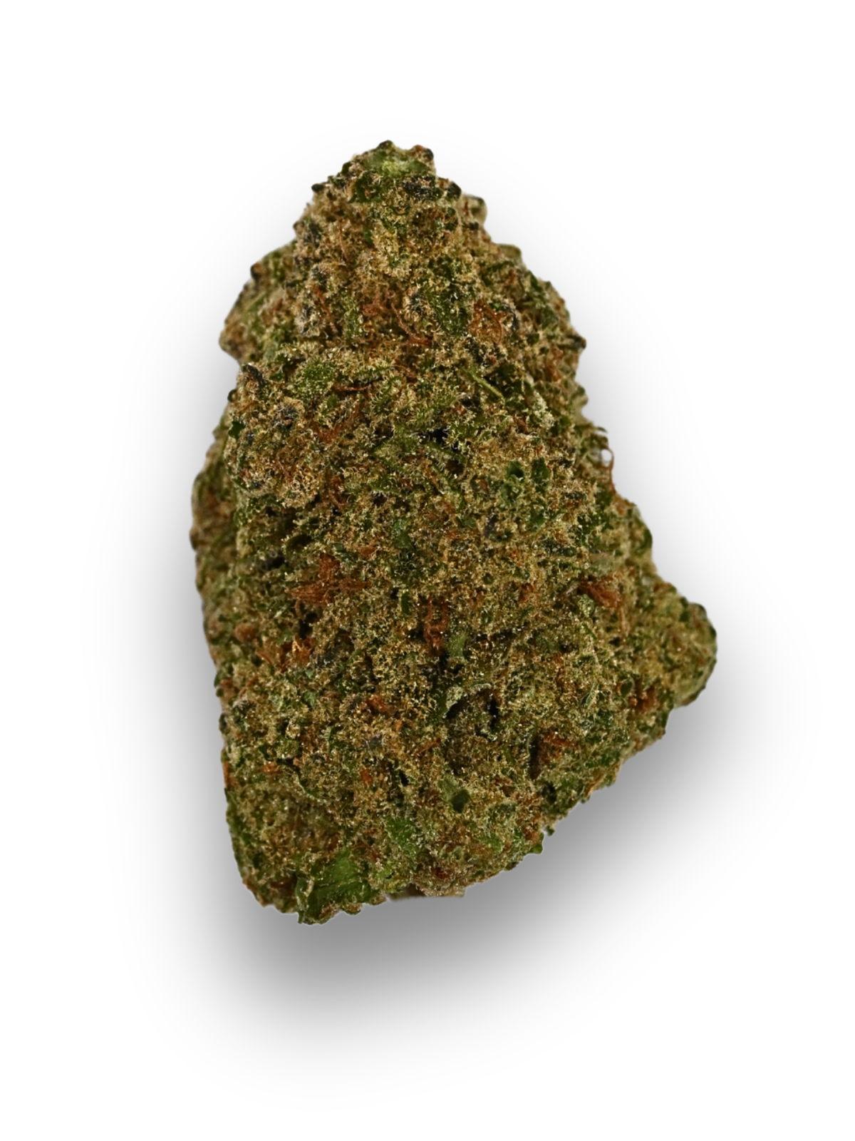 Sherbanger Greenhouse August Cannabis Club THCA Flower