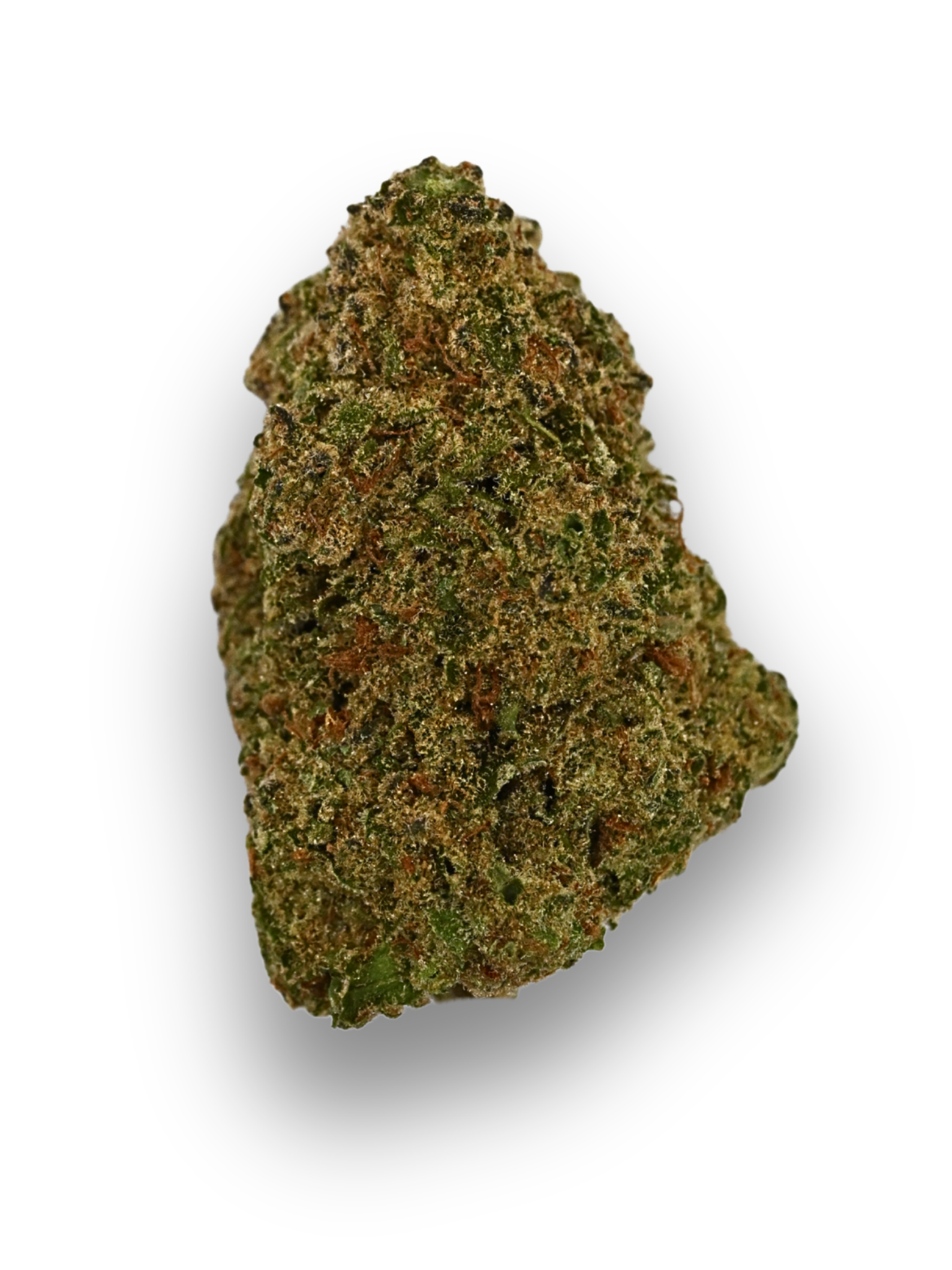 Sherbanger Greenhouse August Cannabis Club THCA Flower