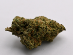 Sherbanger Greenhouse August Cannabis Club THCA Flower