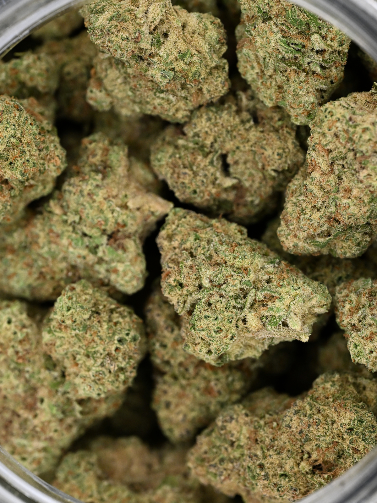 Sherbanger Greenhouse August Cannabis Club THCA Flower