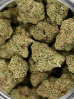 Sherbanger Greenhouse August Cannabis Club THCA Flower