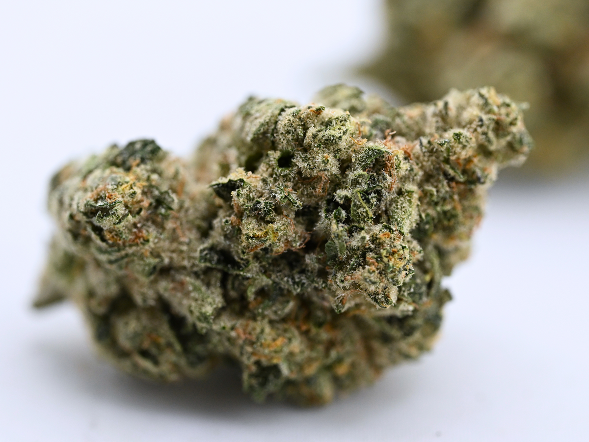 Slapz Indoor Living Soil Hybrid August Cannabis Club THCA Flower