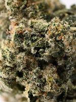 Slapz Indoor Living Soil Hybrid August Cannabis Club THCA Flower