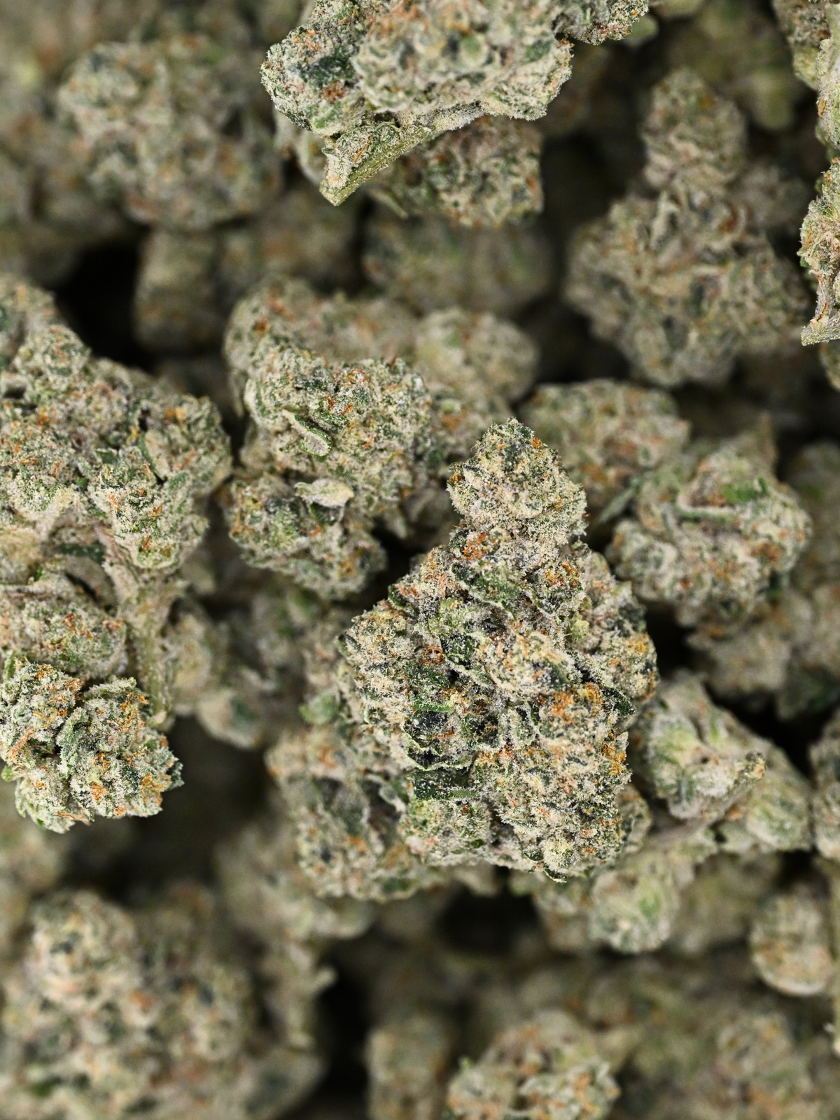 Slapz Indoor Living Soil Hybrid August Cannabis Club THCA Flower