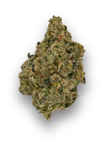 Slapz Indoor Living Soil Hybrid August Cannabis Club THCA Flower