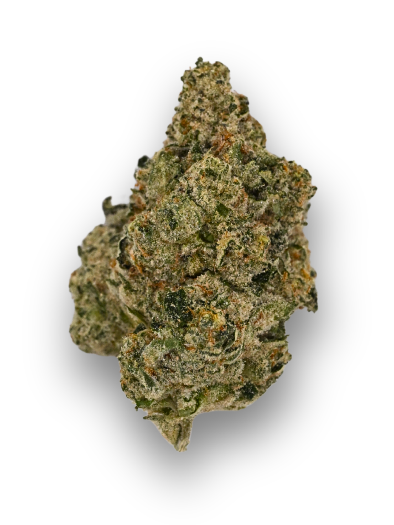 Slapz Indoor Living Soil Hybrid August Cannabis Club THCA Flower