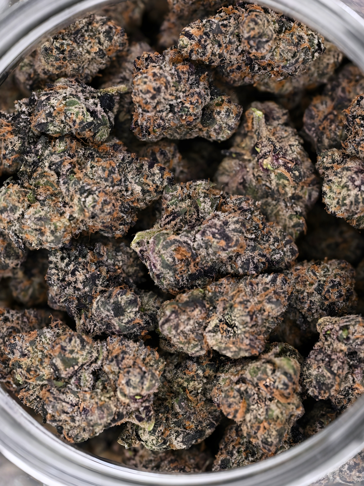 Slurricane August Cannabis Club Indica Living Soil THCA Flower