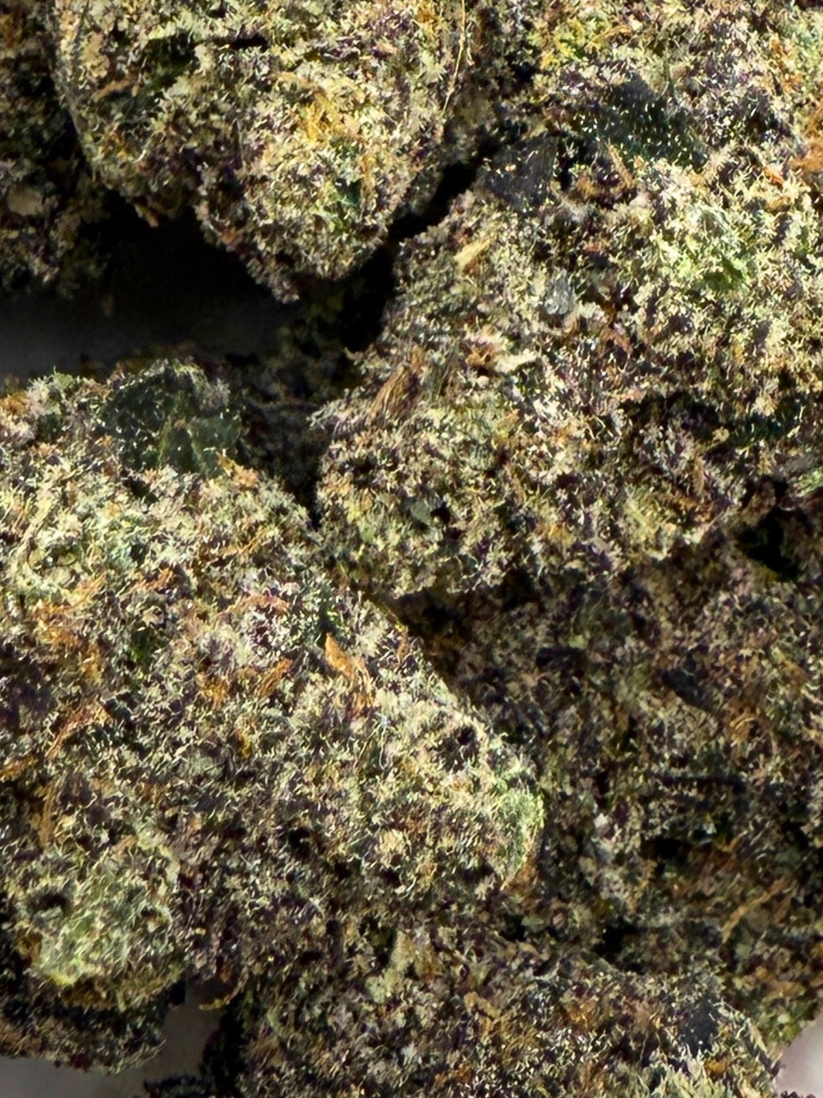 Slurricane August Cannabis Club THCA Exotic Flower