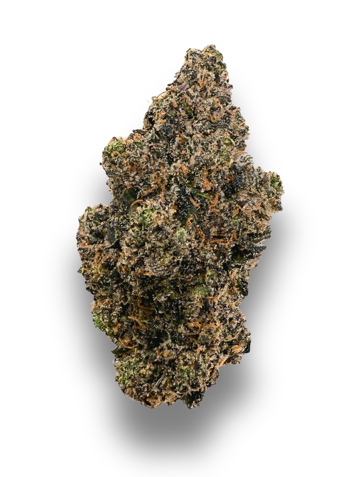 Slurricane August Cannabis Club THCA Exotic Flower