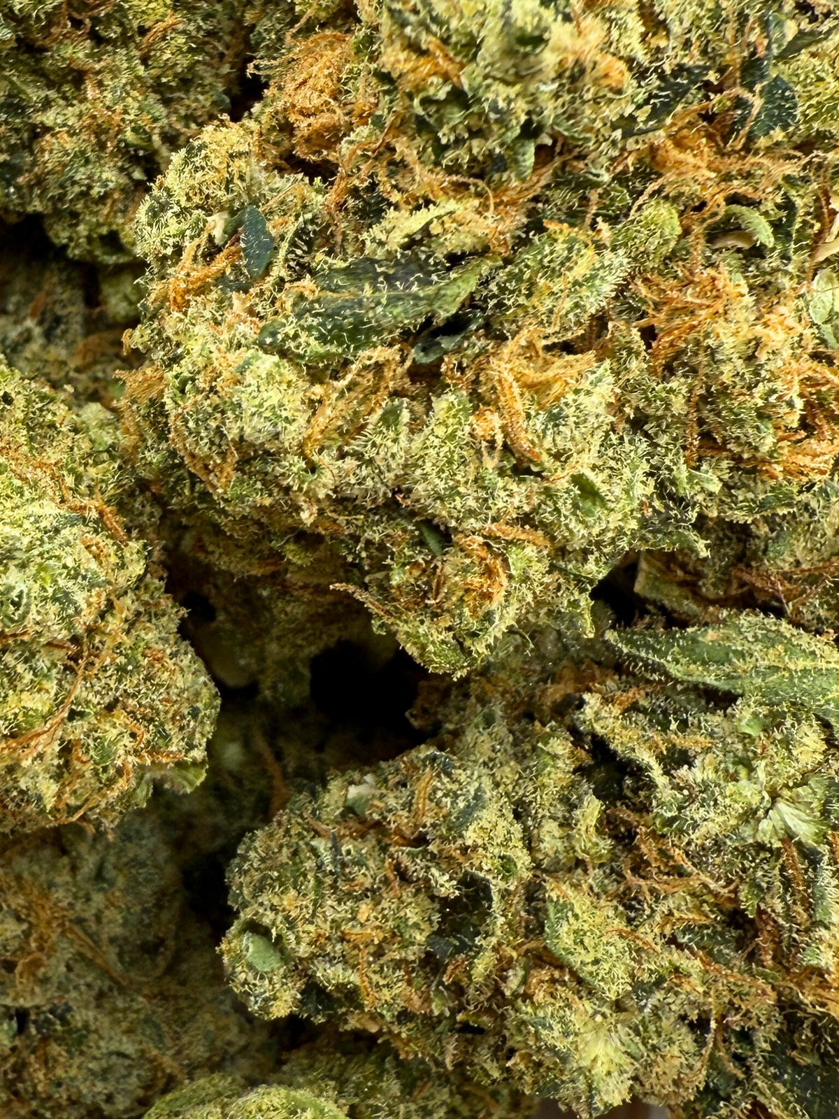 Snow Fire Kush THCA August Cannabis Club