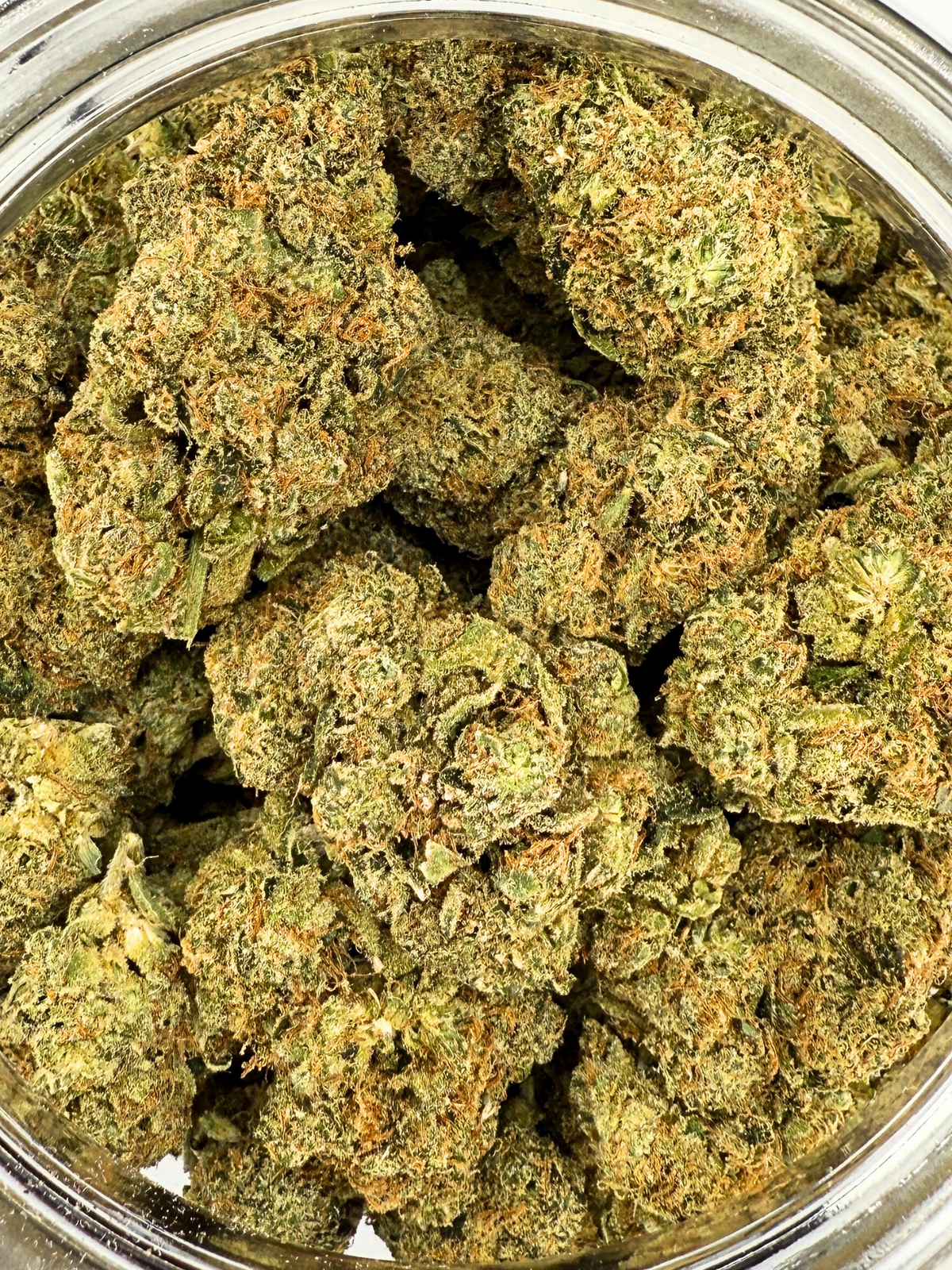 Snow Fire Kush THCA August Cannabis Club