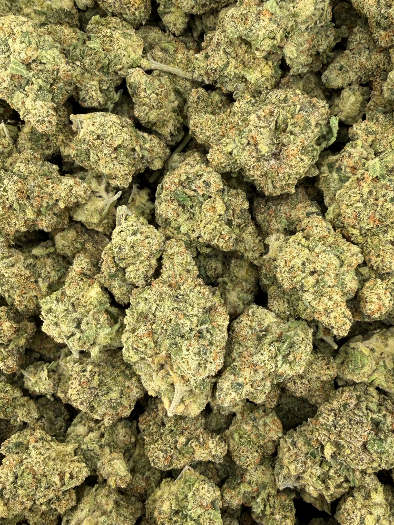 Sour Jack Indoor Living Soil THCA Flower | August Cannabis Club