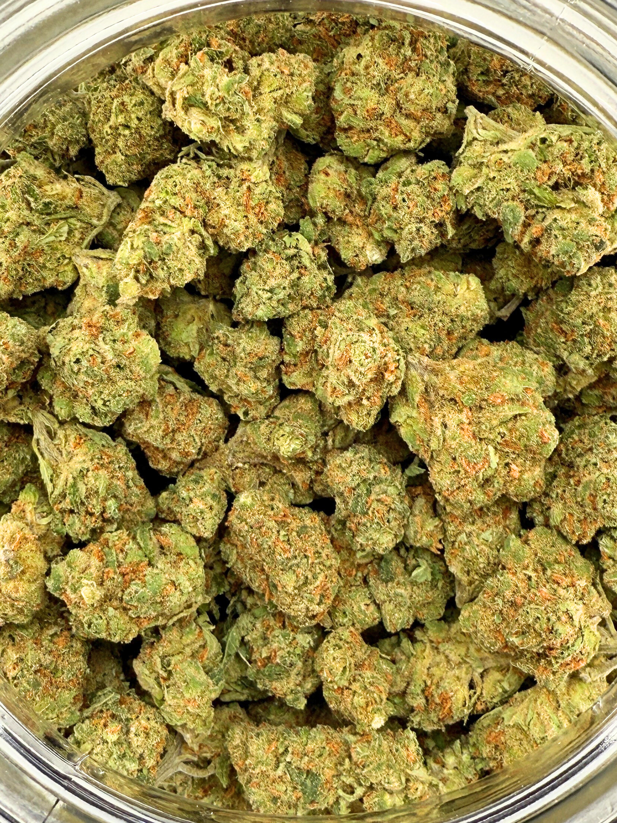 Sour Jack THCA Flower Indoor Smalls August Cannabis Club