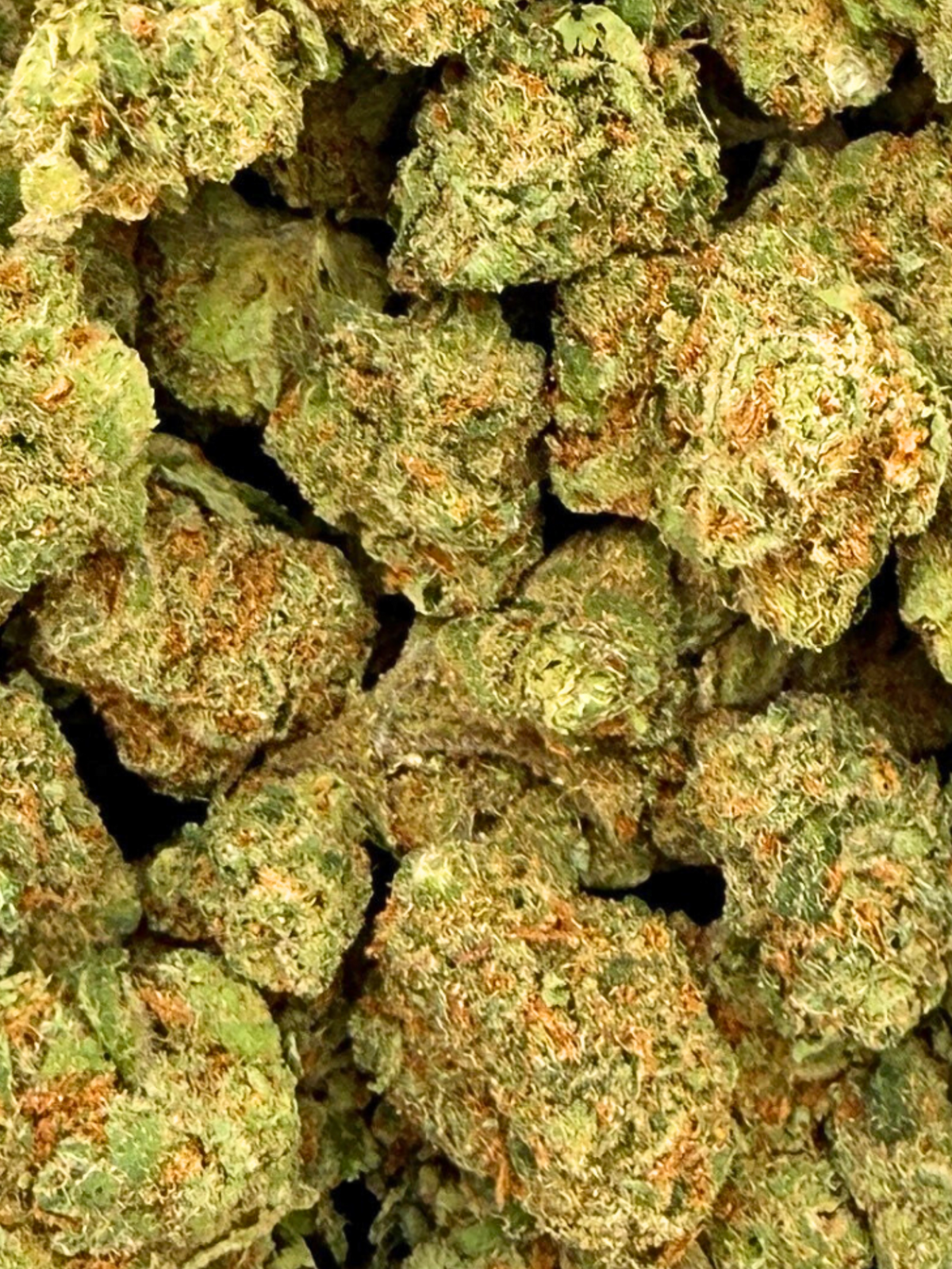 Sour Jack THCA Flower Indoor Smalls August Cannabis Club