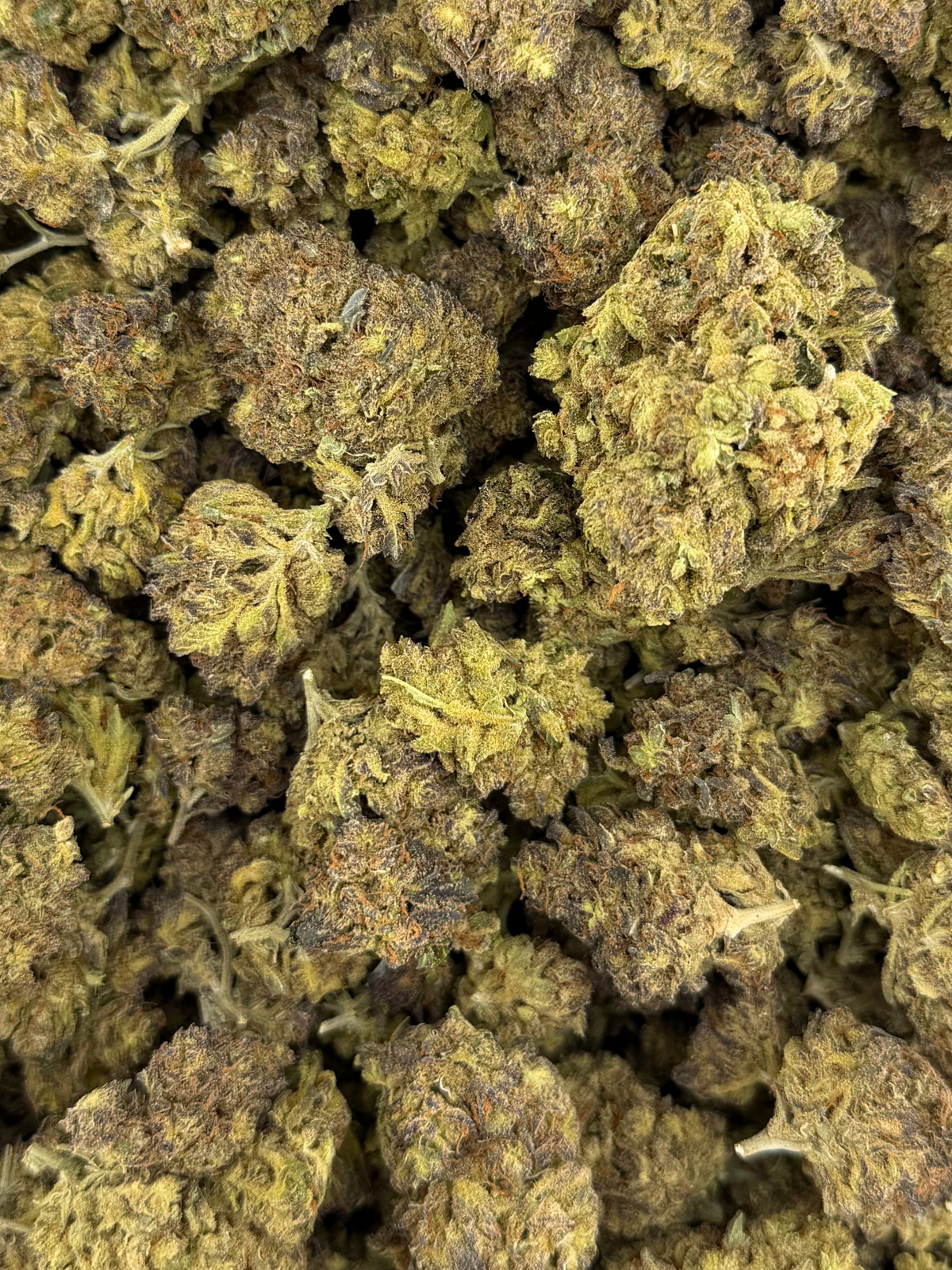Sour Kush Breath Greenhouse THCA Flower