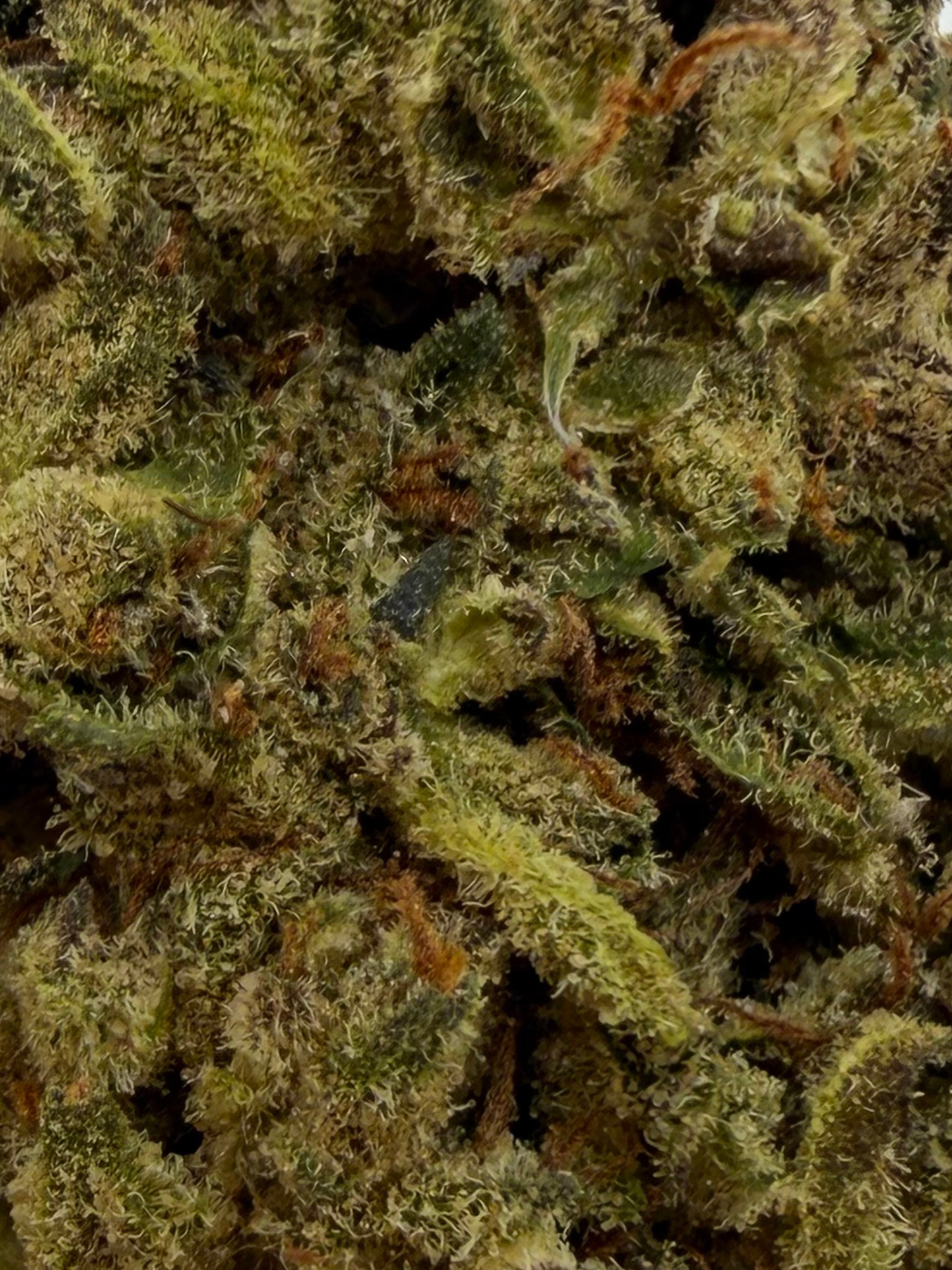 Sour Kush Breath Greenhouse THCA Flower