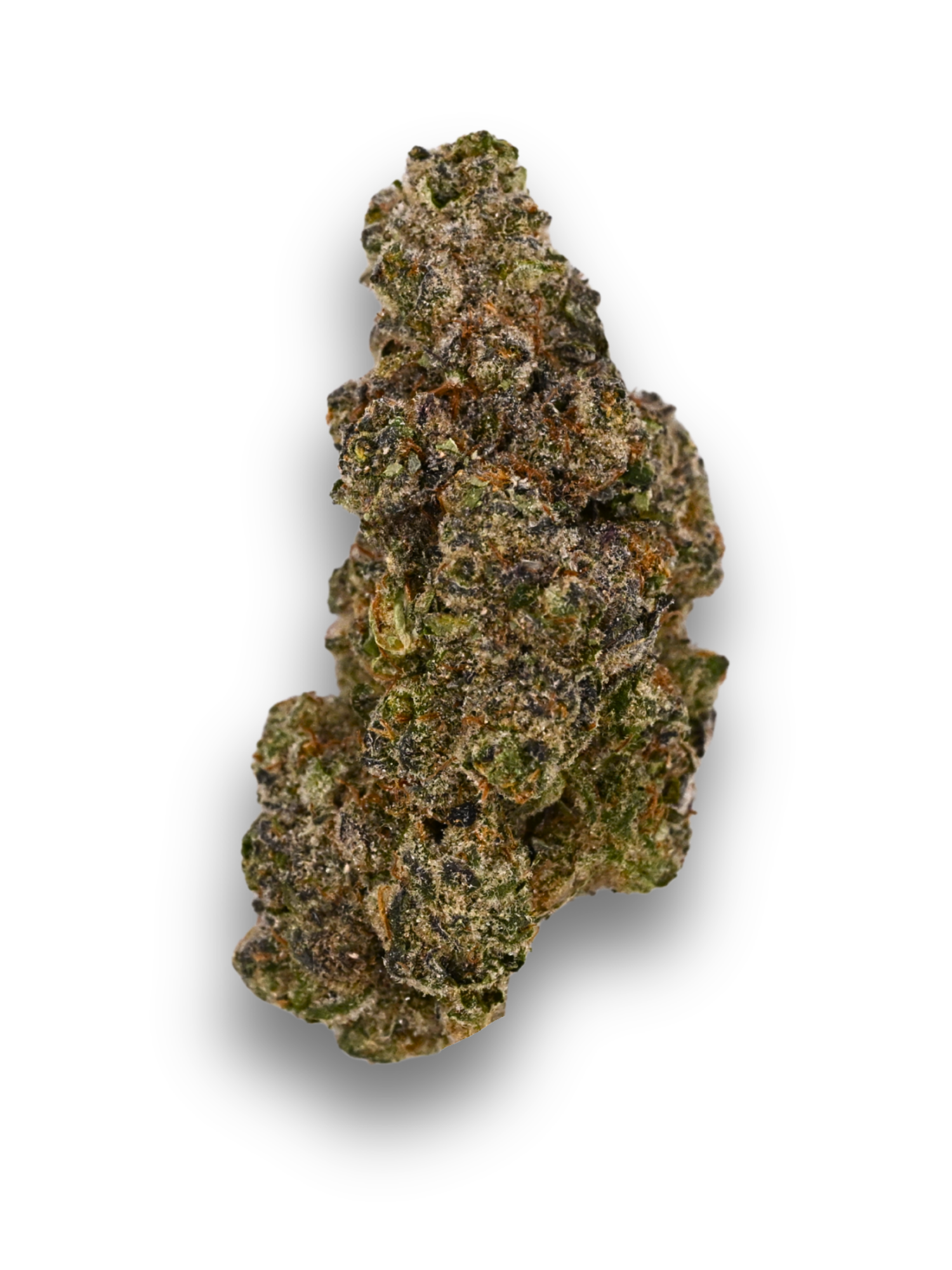 Stankasaurus Indoor Living Soil THCa Flower August Cannabis Club