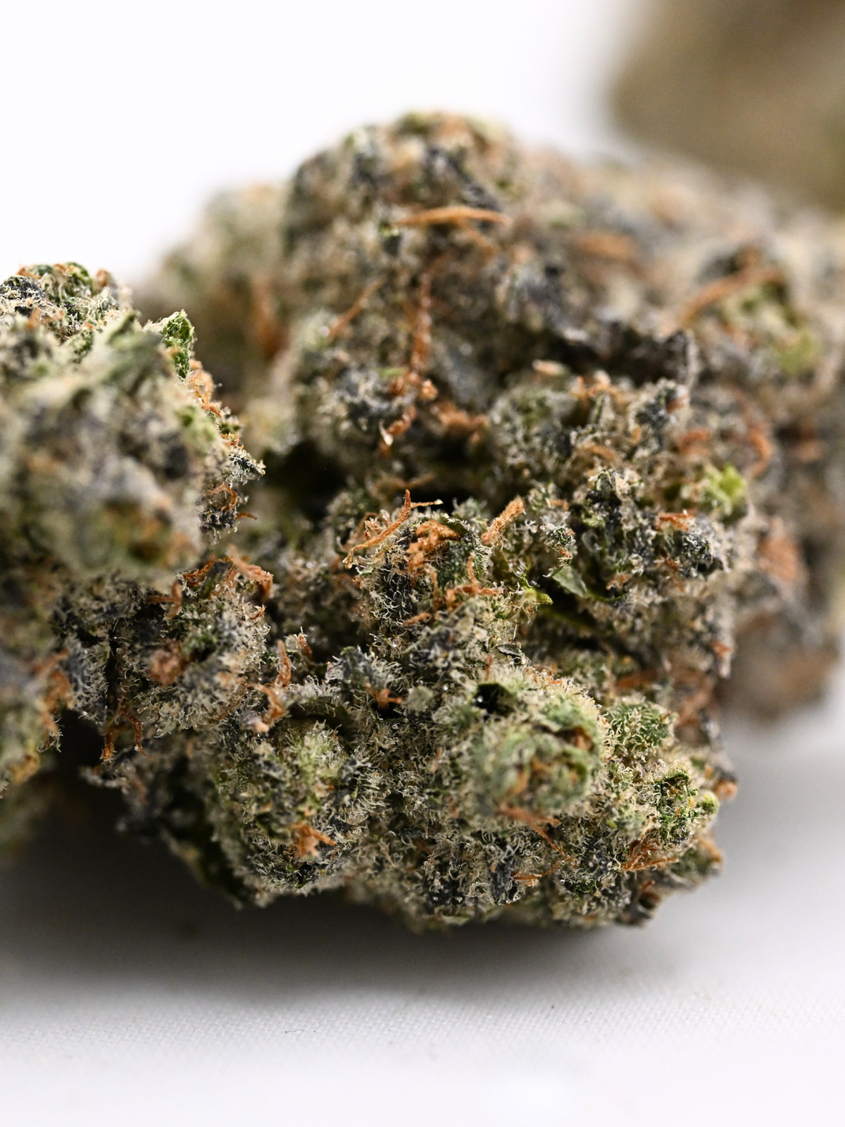 Stankasaurus Indoor Living Soil THCa Flower August Cannabis Club