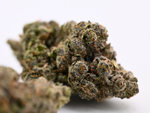 Stankasaurus Indoor Living Soil THCa Flower August Cannabis Club