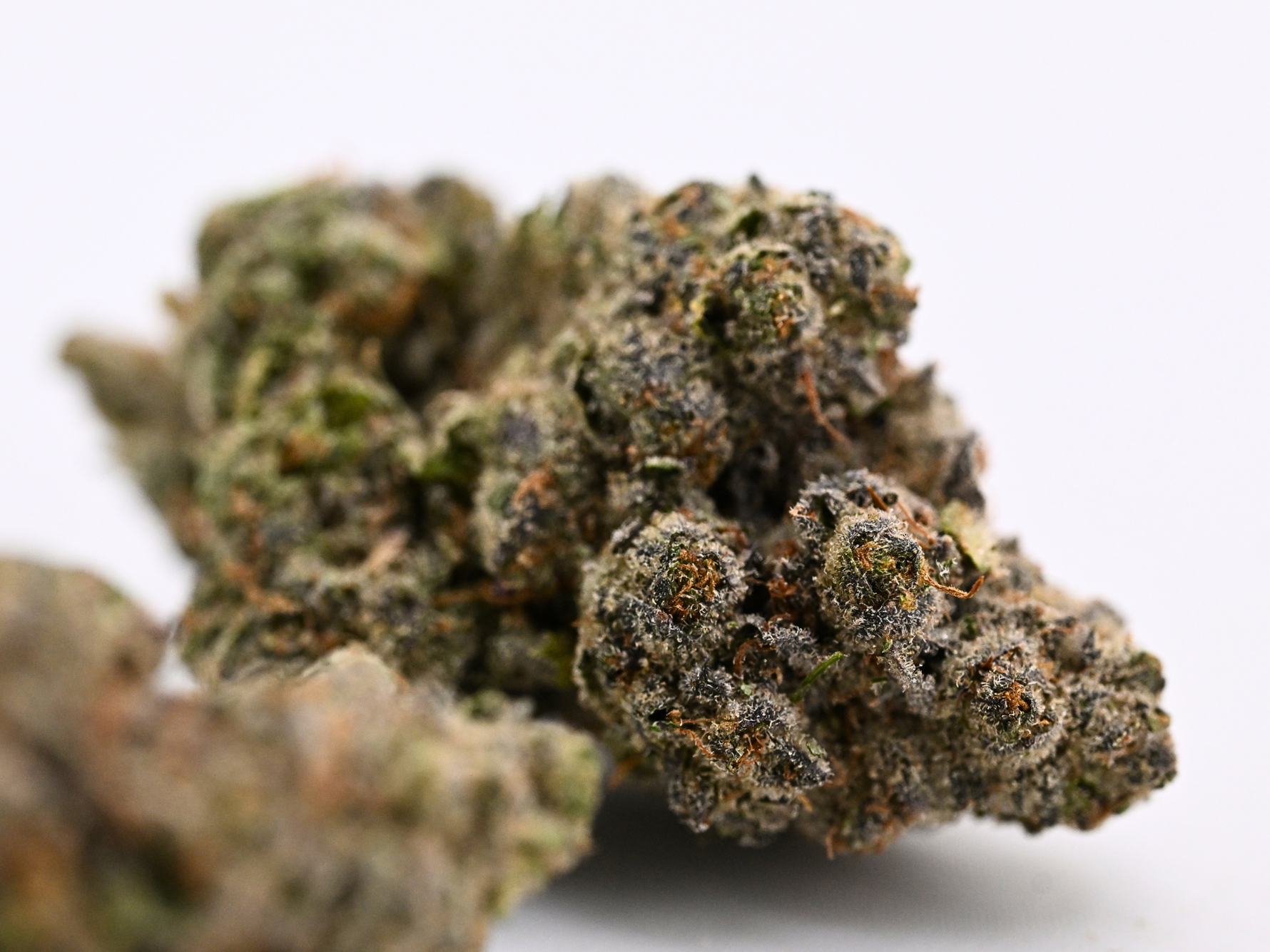 Stankasaurus Indoor Living Soil THCa Flower August Cannabis Club